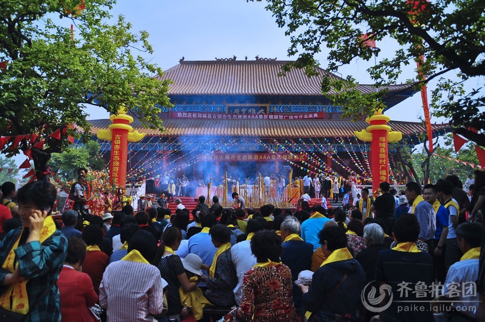 风水宝地之莲花篇_地莲花图片功效_蒲地蓝和金莲花哪个好