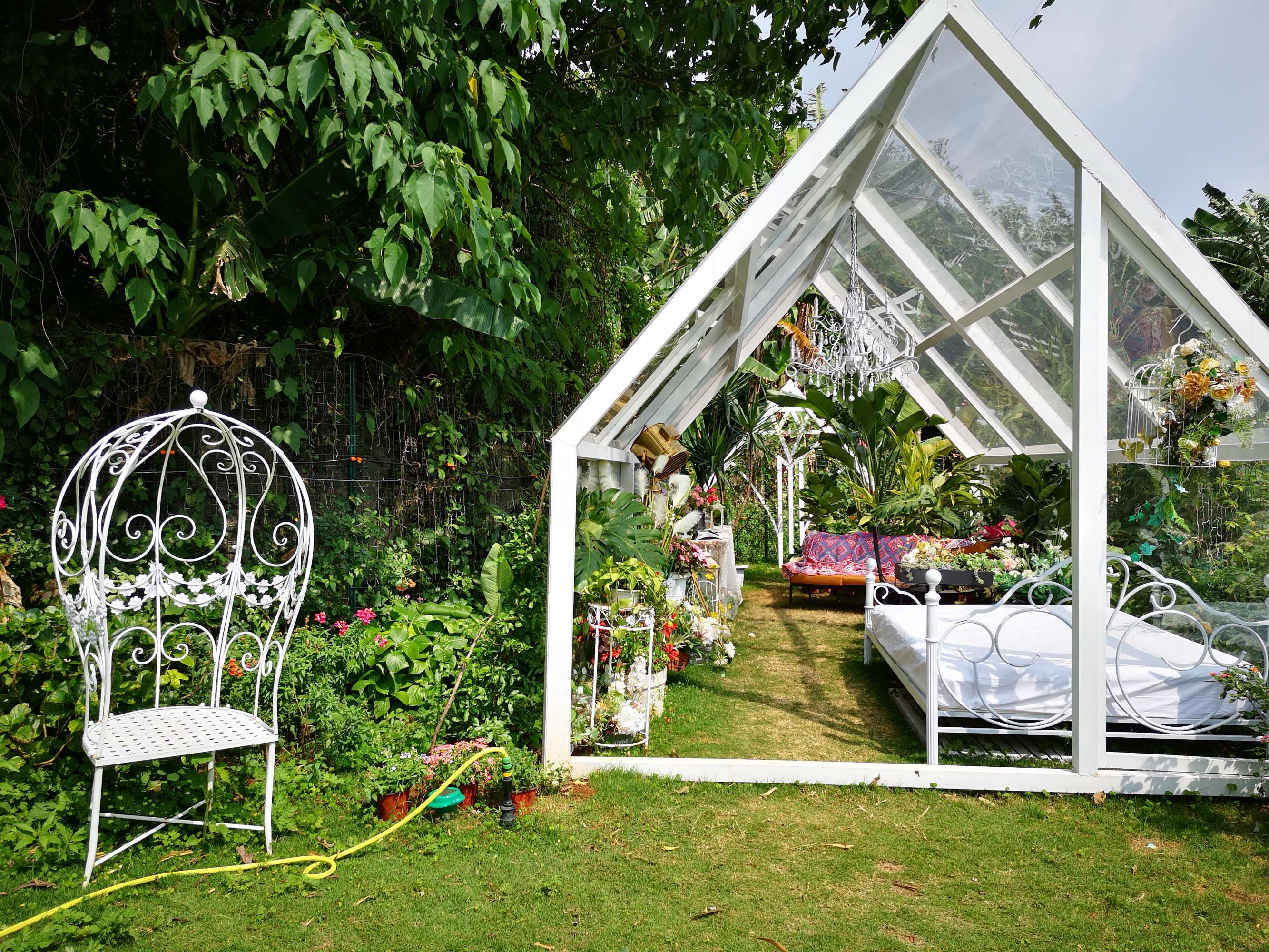 
小情侣花4小时建造的“秘密花园”，玻璃墙体，优雅又神秘