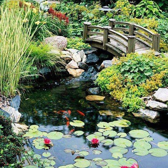 绿之艺园林景观：庭院花园水池风水布局与禁忌