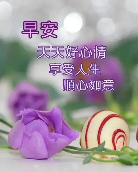 阴宅风水：祖坟的四个神兽，子孙后代过得更加好