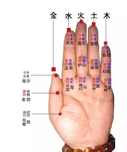 五行、天干、地支基础知识详解，初学者必看