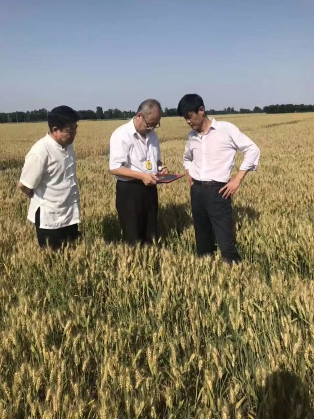 明代万历年间工部尚书郭朝宾林墓：风水宝地，流传百年的故事