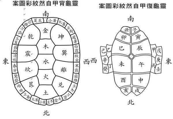 中国人喜欢养龟的原因及龟在风水中的作用